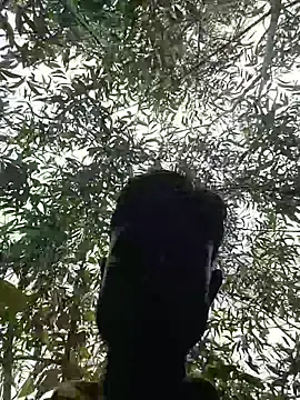 96Rohon online show from April 26, 2026, 7:17 am