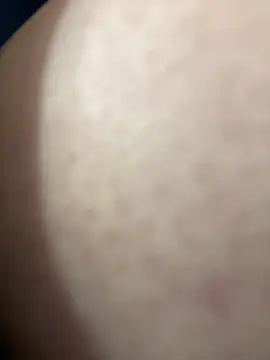 Cherry   Blossom online show from November 3, 2025, 1:23 pm