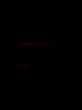 Marco0sss online show from February 8, 2026, 9:02 am