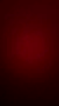 bibi perigoBr online show from September 11, 2025, 3:34 pm