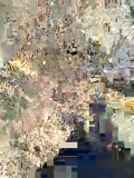 sexy boy 47 online show from February 12, 2026, 3:34 am