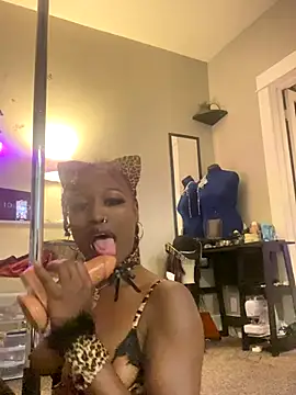 ToyBox96 online show from September 28, 2025, 4:40 am