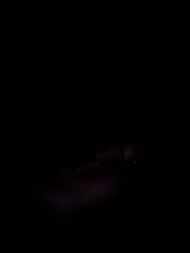 Harini Gautam online show from September 27, 2025, 7:30 pm