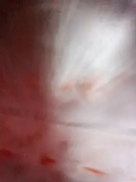 Pinki thakur 1 online show from September 11, 2025, 6:41 pm