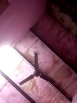 TINASONI online show from April 5, 2026, 9:17 am