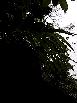 linda bae00 online show from November 5, 2025, 1:16 am