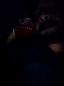 Snapshot of Sexyhotboy7inch chatting on November 21, 2025, 8:29 pm Sexyhotboy7inch online show from November 21, 2025, 8:29 pm