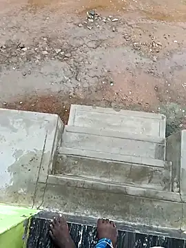 dolphiinn online show from October 16, 2025, 2:34 am