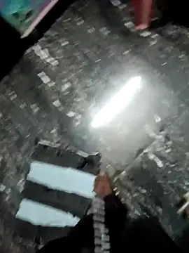 dolphiinn online show from December 4, 2025, 4:48 pm