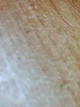 Markroco696 online show from November 17, 2025, 5:02 am