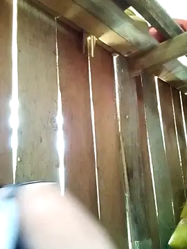 misa 00 online show from April 6, 2026, 4:46 am