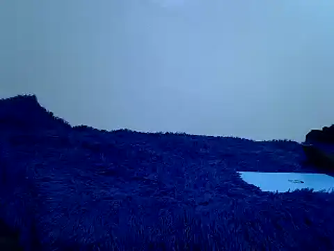 Goodwill G online show from March 8, 2026, 1:04 pm