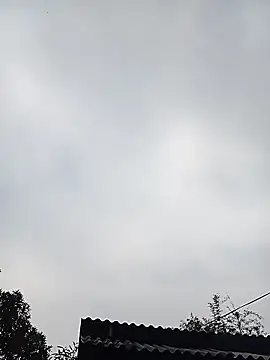 Ngocmi909 online show from January 11, 2026, 12:48 am