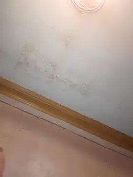 Klubnyhka3991 online show from December 16, 2025, 9:31 pm