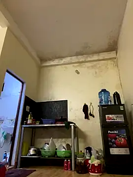 LiLy-0477 online show from November 23, 2025, 8:41 pm