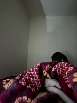 bomcasal online show from February 17, 2026, 11:00 pm