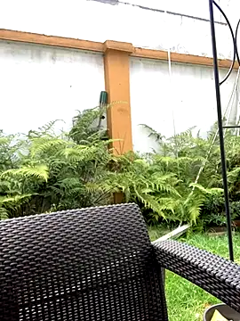 Jasmin Pink online show from September 25, 2025, 3:27 pm