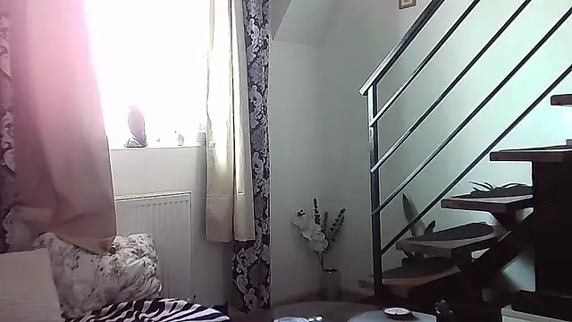 RyanStorm  online show from September 12, 2025, 10:37 am