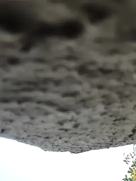 Snapshot of AnanyaKapoor89 chatting on November 9, 2025, 2:43 am AnanyaKapoor89 online show from November 9, 2025, 2:43 am