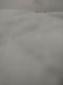 safadomoreno online show from April 12, 2026, 12:26 am