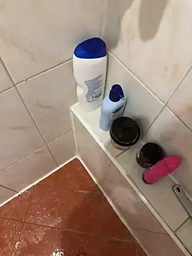 lanameijer online show from February 5, 2026, 7:18 pm