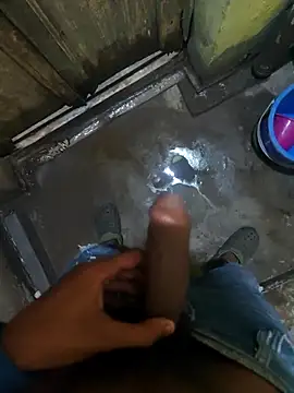 biswasb900 online show from November 23, 2025, 11:54 am