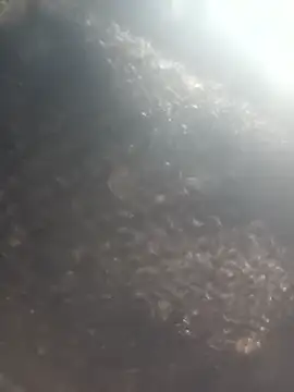 Hot era online show from January 8, 2026, 7:10 am