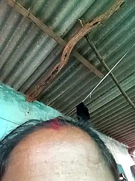 Hot-honi online show from September 13, 2025, 10:48 am