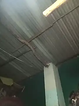 Hot-honi online show from September 19, 2025, 1:45 pm