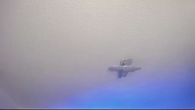  Charlotte Collins  online show from February 9, 2026, 2:54 pm