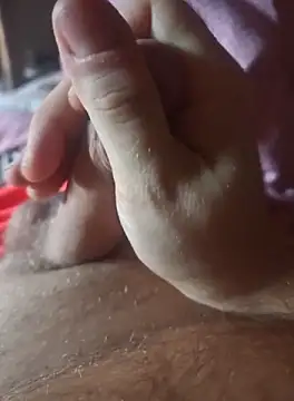 stunning stallion online show from October 8, 2025, 7:17 am