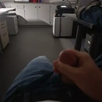 stunning stallion online show from November 17, 2025, 4:13 pm