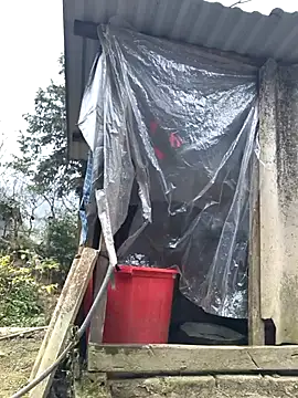 liu-liusexy online show from January 19, 2026, 8:18 am