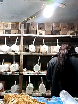 AnHa19 online show from March 14, 2026, 9:59 am