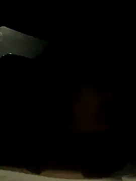 ditzycryztal online show from October 17, 2025, 10:07 am