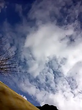 tcm-cute online show from October 23, 2025, 3:06 am