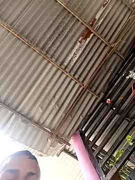 wwwww143 online show from November 21, 2025, 5:22 pm