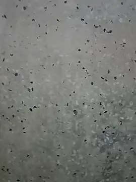 Mr xxx007xh online show from March 1, 2026, 1:18 am