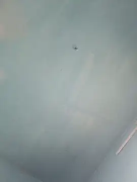 xyz-indian online show from October 5, 2025, 10:02 am