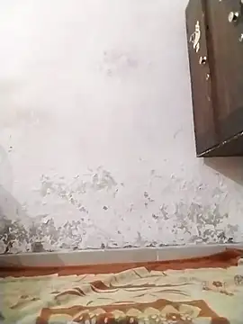 Snapshot of DivyaBhabhi69@xh chatting on October 19, 2025, 3:56 pm DivyaBhabhi69xh online show from October 19, 2025, 3:56 pm