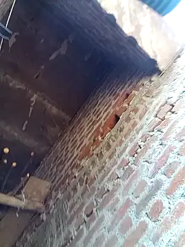 Xx pooja online show from February 8, 2026, 9:13 am