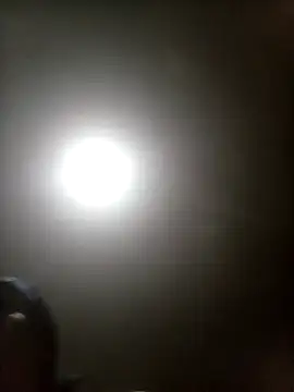 Bebicho14 online show from March 17, 2026, 4:17 am