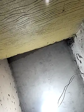 Bebicho14 online show from April 1, 2026, 4:35 am