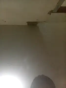 Bebicho14 online show from April 4, 2026, 5:49 am