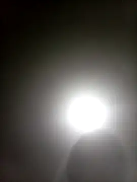 Bebicho14 online show from April 5, 2026, 4:42 am