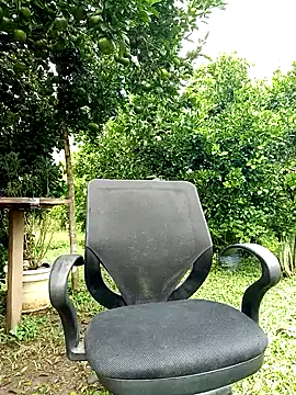 AlphaAlterX online show from October 12, 2025, 1:32 pm