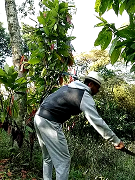 AlphaAlterX online show from February 28, 2026, 1:23 pm