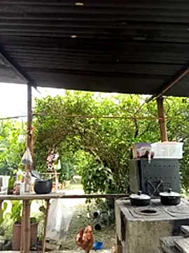 AlphaAlterX online show from March 11, 2026, 6:14 pm