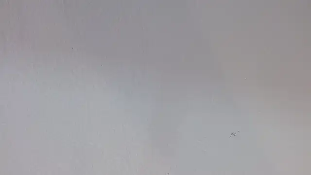 kiity horny  online show from September 30, 2025, 12:54 pm