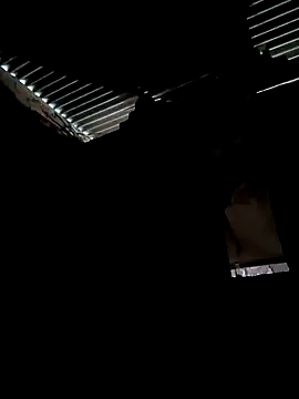 Gustavo1135e online show from October 13, 2025, 11:10 am